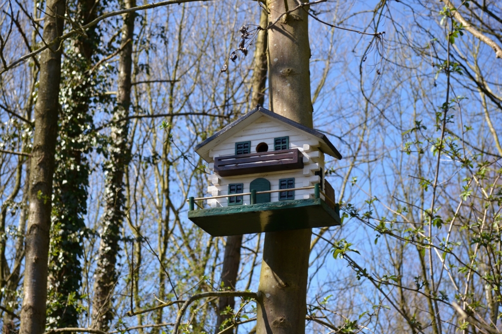 Wie sollte man sein Vogelhaus am Baum befestigen?