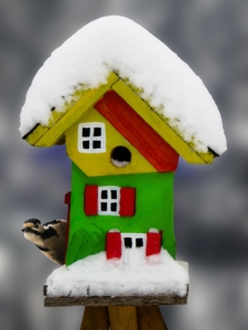 Vogelfutter im Winter